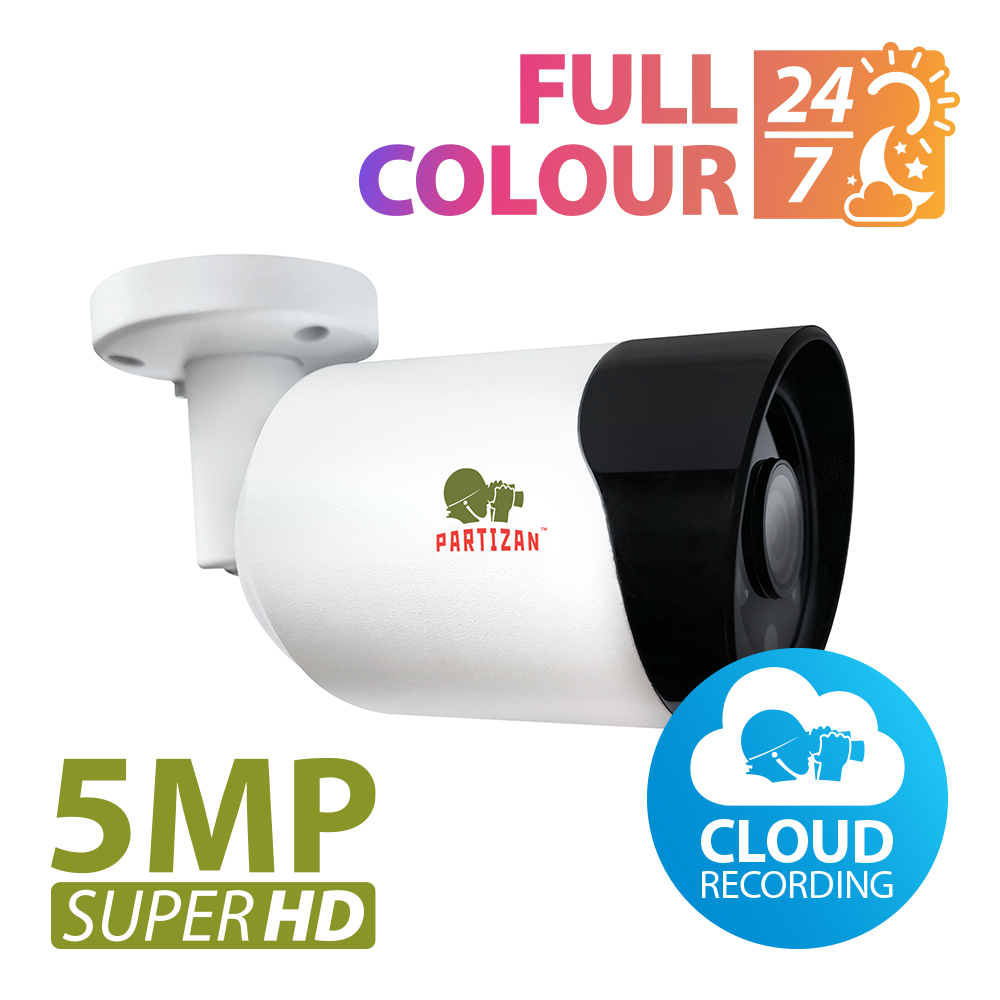 Partizan ip camera IPO-5SP FULL COLOUR v1.3 Cloud